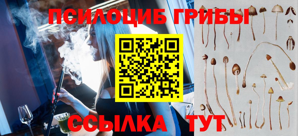 Псилоцибиновые грибы мухоморы Трёхгорный